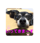 しいなとこはる（個別スタンプ：8）