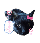 谷口家の3ニャン達(=^x^=)（個別スタンプ：2）
