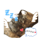 谷口家の3ニャン達(=^x^=)（個別スタンプ：5）