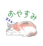 三毛猫ひめちゃん（個別スタンプ：2）