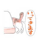 三毛猫ひめちゃん（個別スタンプ：6）