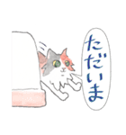 三毛猫ひめちゃん（個別スタンプ：7）