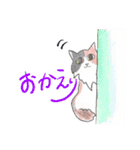 三毛猫ひめちゃん（個別スタンプ：8）