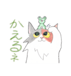 三毛猫ひめちゃん（個別スタンプ：9）