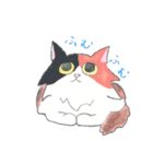 三毛猫ひめちゃん（個別スタンプ：11）