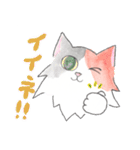 三毛猫ひめちゃん（個別スタンプ：13）