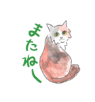 三毛猫ひめちゃん（個別スタンプ：15）