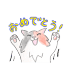 三毛猫ひめちゃん（個別スタンプ：16）