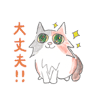 三毛猫ひめちゃん（個別スタンプ：18）