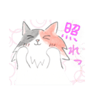 三毛猫ひめちゃん（個別スタンプ：24）