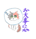 三毛猫ひめちゃん（個別スタンプ：30）