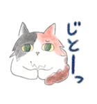 三毛猫ひめちゃん（個別スタンプ：37）