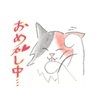 三毛猫ひめちゃん（個別スタンプ：39）