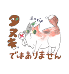 三毛猫ひめちゃん（個別スタンプ：40）