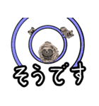 たぬきのしるし（個別スタンプ：1）