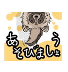 たぬきのしるし（個別スタンプ：11）