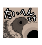 たぬきのしるし（個別スタンプ：15）
