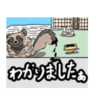 たぬきのしるし（個別スタンプ：24）