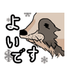 たぬきのしるし（個別スタンプ：32）