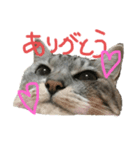 さくらとこうめ（個別スタンプ：7）