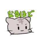 ねこねこねこ太郎（個別スタンプ：3）