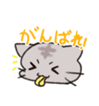 ねこねこねこ太郎（個別スタンプ：16）