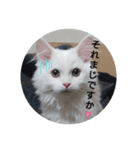 ベイビーアヴィ（個別スタンプ：2）