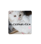 ベイビーアヴィ（個別スタンプ：4）