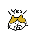さすけ猫（個別スタンプ：5）