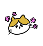 さすけ猫（個別スタンプ：8）