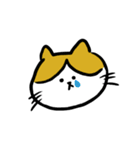 さすけ猫（個別スタンプ：21）