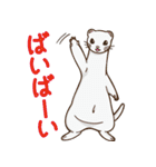 びぶべコレクション（個別スタンプ：3）