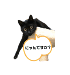 黒猫こったん2（個別スタンプ：4）
