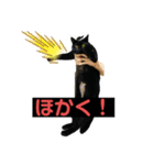 黒猫こったん2（個別スタンプ：5）