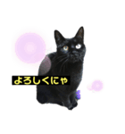 黒猫こったん2（個別スタンプ：7）