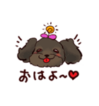 くろわん（個別スタンプ：5）