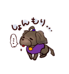くろわん（個別スタンプ：8）