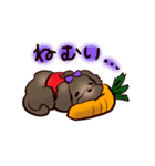 くろわん（個別スタンプ：11）