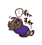 くろわん（個別スタンプ：12）
