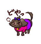くろわん（個別スタンプ：13）