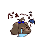 くろわん（個別スタンプ：14）
