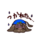 くろわん（個別スタンプ：15）