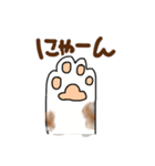 ネコはネコでしょ（個別スタンプ：1）
