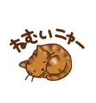ネコはネコでしょ（個別スタンプ：2）