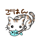 ネコはネコでしょ（個別スタンプ：5）