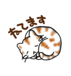 ネコはネコでしょ（個別スタンプ：6）
