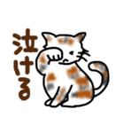 ネコはネコでしょ（個別スタンプ：7）