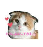 子猫のロイぼうや♪第2弾！！（個別スタンプ：6）