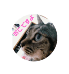 うるるんスタンプ。。（個別スタンプ：7）