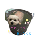 らる_①（個別スタンプ：8）